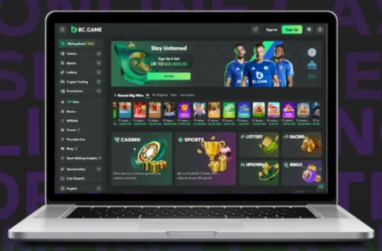 Bcfun Navigating the New Waves of Digital Entertainment