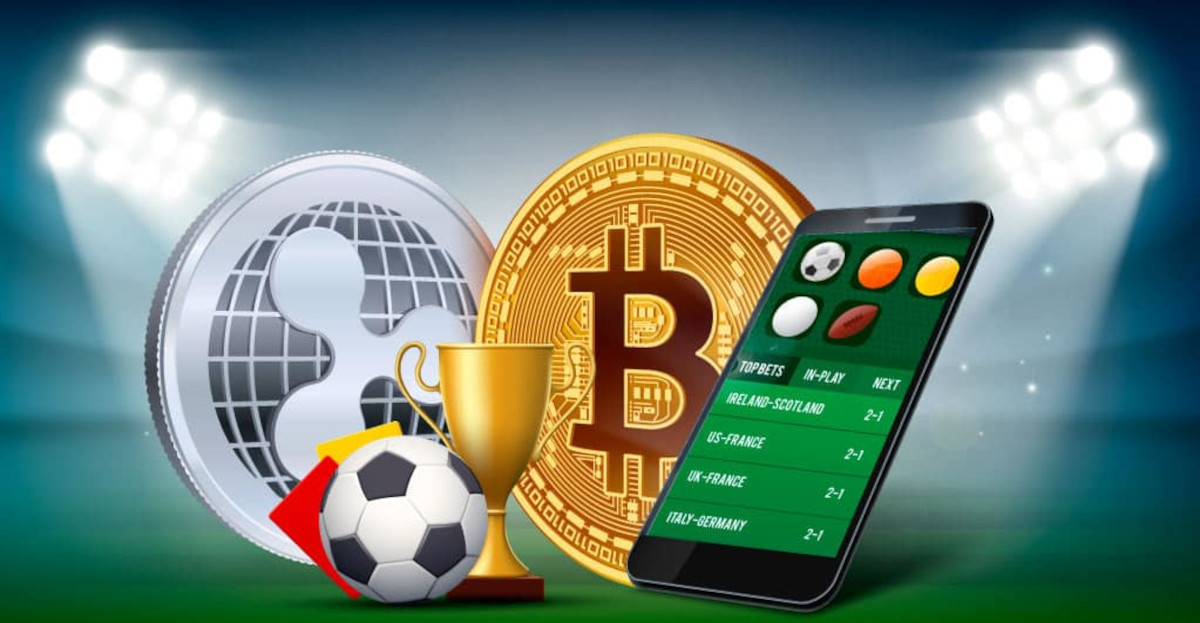 All You Need to Know About Haki Bet All You Need to Know About Haki Bet